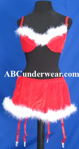 Sexy Miss Santa Skirt & Top